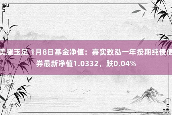 美腿玉足 1月8日基金净值：嘉实致泓一年按期纯债债券最新净值1.0332，跌0.04%