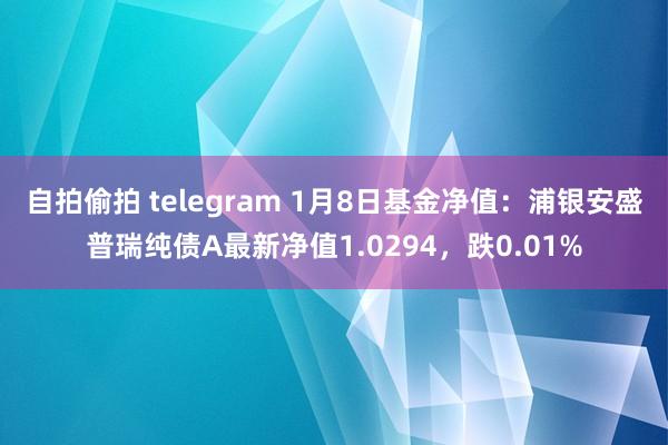 自拍偷拍 telegram 1月8日基金净值：浦银安盛普瑞纯债A最新净值1.0294，跌0.01%