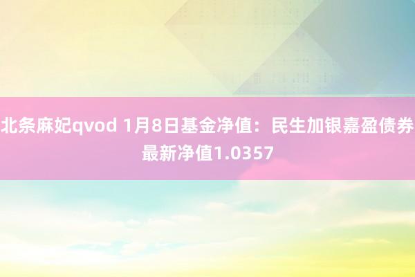 北条麻妃qvod 1月8日基金净值：民生加银嘉盈债券最新净值1.0357