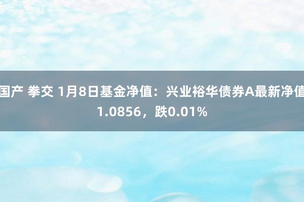 国产 拳交 1月8日基金净值：兴业裕华债券A最新净值1.0856，跌0.01%