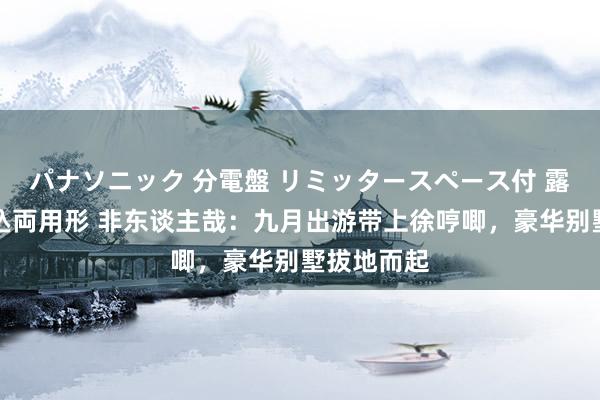 パナソニック 分電盤 リミッタースペース付 露出・半埋込両用形 非东谈主哉：九月出游带上徐哼唧，豪华别墅拔地而起