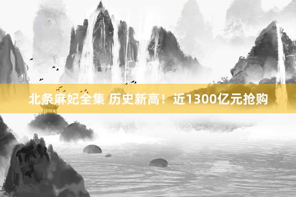 北条麻妃全集 历史新高！近1300亿元抢购