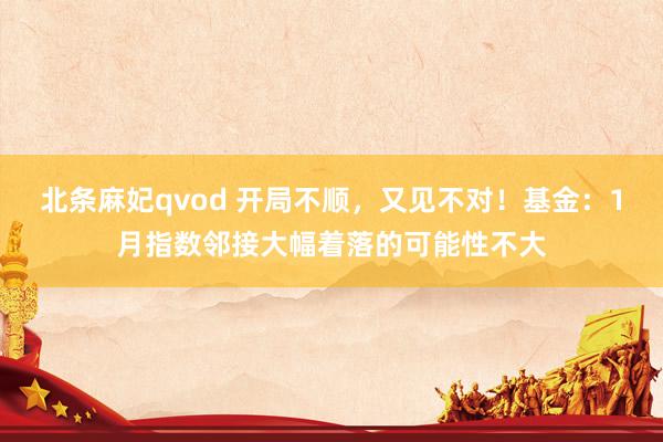 北条麻妃qvod 开局不顺，又见不对！基金：1月指数邻接大幅着落的可能性不大