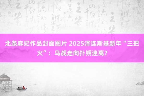 北条麻妃作品封面图片 2025泽连斯基新年“三把火”：乌战走向扑朔迷离？