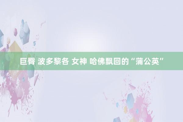 巨臀 波多黎各 女神 哈佛飘回的“蒲公英”