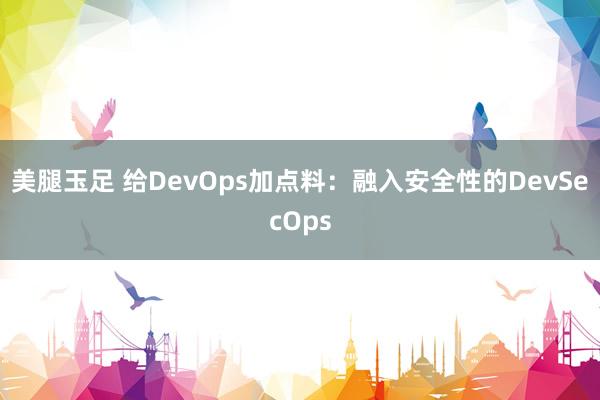 美腿玉足 给DevOps加点料：融入安全性的DevSecOps