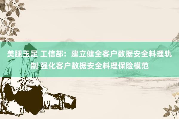 美腿玉足 工信部：建立健全客户数据安全料理轨制 强化客户数据安全料理保险模范