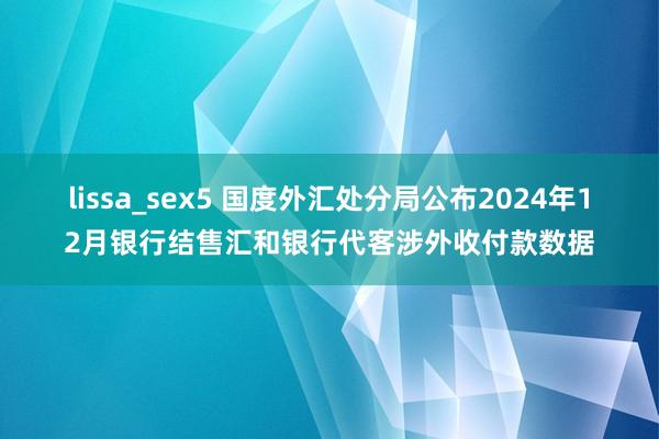 lissa_sex5 国度外汇处分局公布2024年12月银行结售汇和银行代客涉外收付款数据