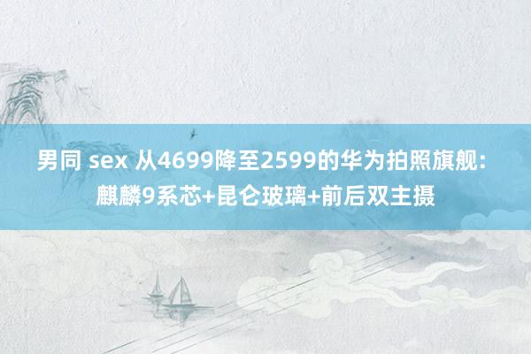 男同 sex 从4699降至2599的华为拍照旗舰: 麒麟9系芯+昆仑玻璃+前后双主摄