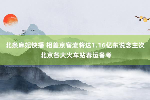 北条麻妃快播 相差京客流将达1.16亿东说念主次 北京各大火车站春运备考