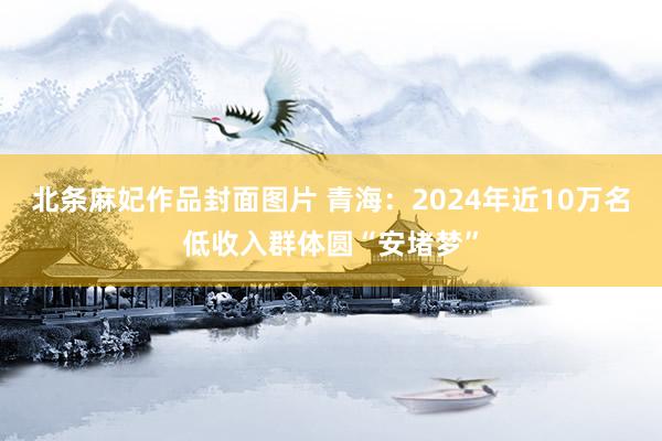 北条麻妃作品封面图片 青海：2024年近10万名低收入群体圆“安堵梦”