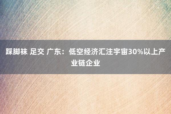 踩脚袜 足交 广东：低空经济汇注宇宙30%以上产业链企业