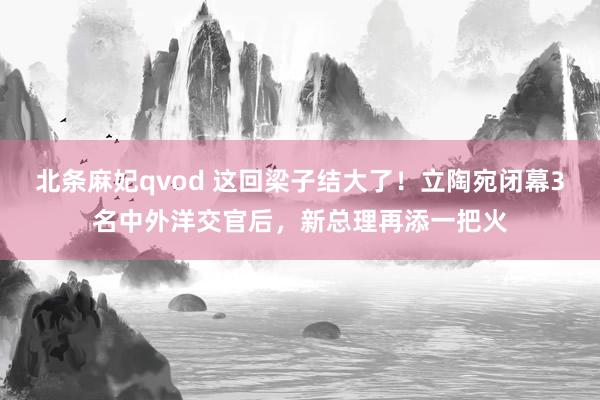 北条麻妃qvod 这回梁子结大了！立陶宛闭幕3名中外洋交官后，新总理再添一把火