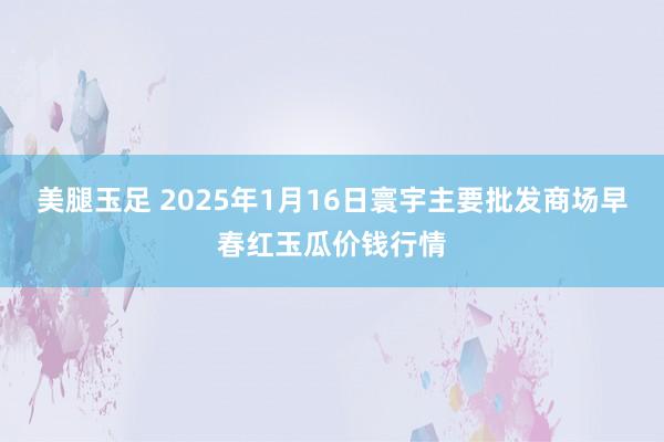 美腿玉足 2025年1月16日寰宇主要批发商场早春红玉瓜价钱行情