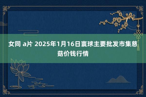 女同 a片 2025年1月16日寰球主要批发市集慈菇价钱行情