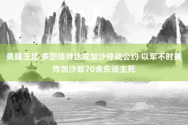 美腿玉足 多国接待达成加沙停战公约 以军不时轰炸加沙致70余东谈主死